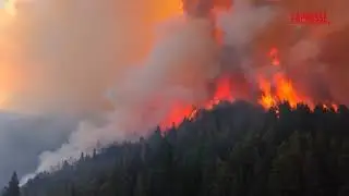Argentina, inferno in Patagonia: 3mila turisti evacuati per gli incendi.