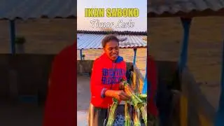 IKAN SABOKO, TIMOR LESTE