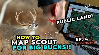 Find BIG BUCKS on ILLINOIS PUBLIC LAND! Do this!!!
