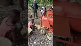 *Extracteur de s&eacute;paration des noix d'anacarde de la pomme d'anacarde*