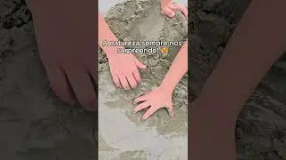 Cuidado BICHO ESTRANHO na areia da praia @lauetui #diversao #familia #memes #meme #troll