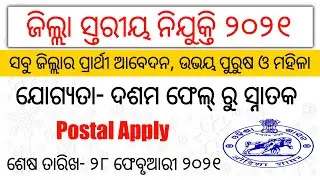 Odisha District Recruitment 2021 | 10th Fail to Graduate Student Apply | Odisha govt job 2021 | #JOB