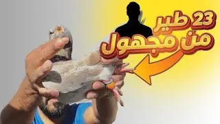 23 طير اجوني هديه 🤔🔥