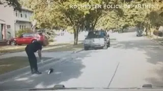 WATCH: Michigan police officer gets up close and personal, saves skunk