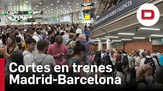 Suspendida la circulaci&oacute;n de trenes entre Madrid y Barcelona por un robo en la v&iacute;a