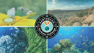 2021 OurEcho Challenge Finalist: Team Habitat Hotels