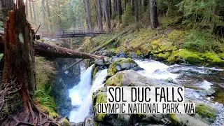 Hiking to Sol Duc Falls (PNW Road Trip) - Olympic National Park