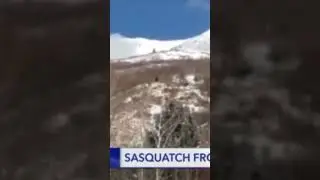 Footage of Bigfoot Hiking Across Mountains! | Squatch Watchers Rewind