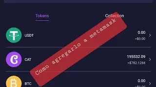Como agregar el token de Cat Star a nuestro Metamask