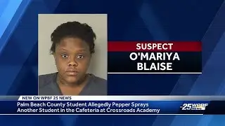 Teenager accused of using pepper spray at Crossroads Academy