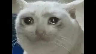 Homework NEEDS a ban rn