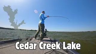 Tournament Fishing Cedar Creek Lake