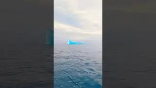 Peaceful Place #nature #iceberg #ocean #peace #travel #world #antarctica #viral #trending