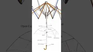 Umbrella Working Animation ✅