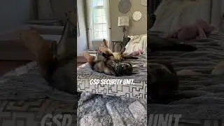Обновление системы безопасности G.S.D 3.7.5