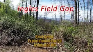 Ingles Field Gap - Bent Creek  - Asheville, NC - 4/15/2017 - Mountain Biking - 👜-a-🍩s