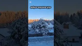 #зима #доброеутро #деревня #мороз