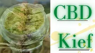 What Is CBD Kief- Discover How It Works