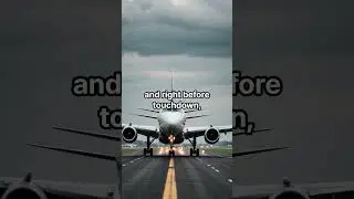 Before Your First Flight Lesson, Watch This