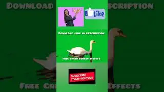 green screen swan video| free green screen video effects