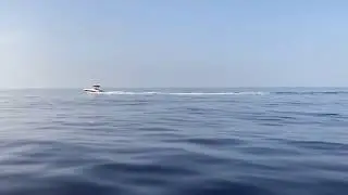 Scout 215 XSF crossing to Bimini