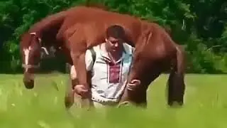 Russian hero  Русский богатырь