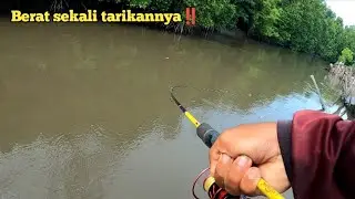 Ganas umpan turun langsung di sambar ikan monster!! mancing kakap