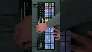 Polyend Synth Play Dub Techno  #dubtechno #synth  #sounddesign #technomusic #dawless #synthesizer