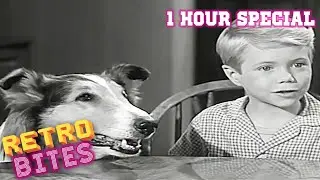 1 Hour Compilation | Lassie | Full Episodes | Kids Cartoon | Videos For Kids