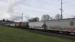 UP, CEFX, And BNSF Power A Grain Train @ Old Town Tacoma, WA