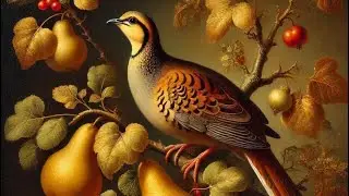 The Twelve Days of Christmas 🐦🍐🌳🌟