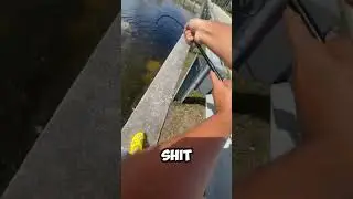 TRYNA CATCH BIG PEA #fish #bass #peacockbass #miami