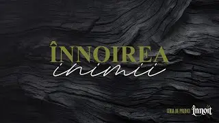 Căutarea care pornește din inimă