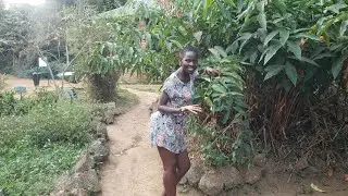 This is what we use for treatment in My Village #lifestyle @africannyako