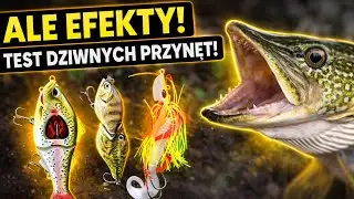 TEST DZIWNYCH PRZYNĘT Z TEMU! - TO JEST HIT!