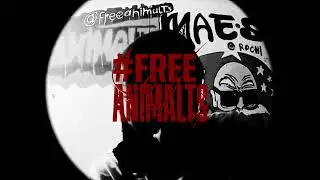 CANTO LO QUE VIVO - ANIMALTS  (Prod. DS x CTA) Visualizer