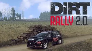 WORLD RECORD | DIRT RALLY 2.0 | FORD FIESTA R5 MKII | NEWHOUSE BRIDGE