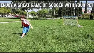 Dog Toys Interactive Pet Football Toys with Grab Tabs Dog Outdoor training Soccer Pet Bite Chew Ball