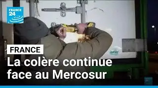 France - Mercosur : les importations passées au crible par les agriculteurs • FRANCE 24