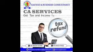 ca service for your business & ngos for tax, auditing, projects reports
