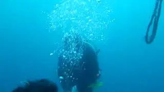 Miraijima 2022 EcoDive 0604 Osezaki Wannai