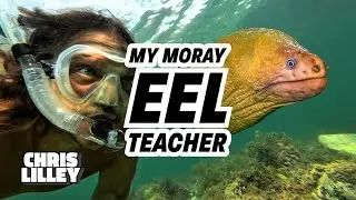 My Moray Eel Teacher