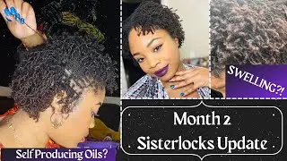 2 Month Sisterlocks Update