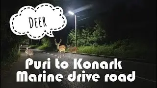 Puri Konark Marine Drive Road. Night out with friends