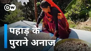 जलवायु परिवर्तन से बचाएंगे पुराने अनाज? [Cliamte change's effects on nutrition in rural India]