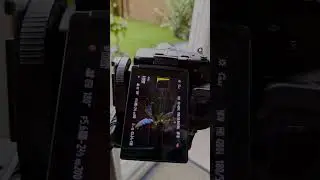180FPS Variable Frame Rate #shorts #video #subscribe