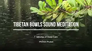 Deep Relaxation Sound Healing with Tibetan Bowls | PR&Aring;NA Yoga Phuket