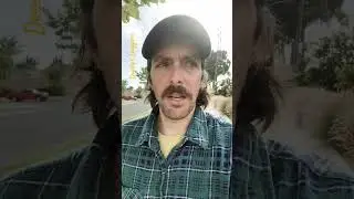 Dog Walking Knife