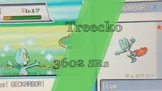 Shiny Treecko appears in Pokemon SoulSilver after 3602 SRs!
