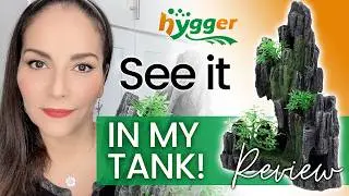 Best Aquarium Decor for Small Tanks? UP CLOSE Look! Hygger Resin Rockery #review